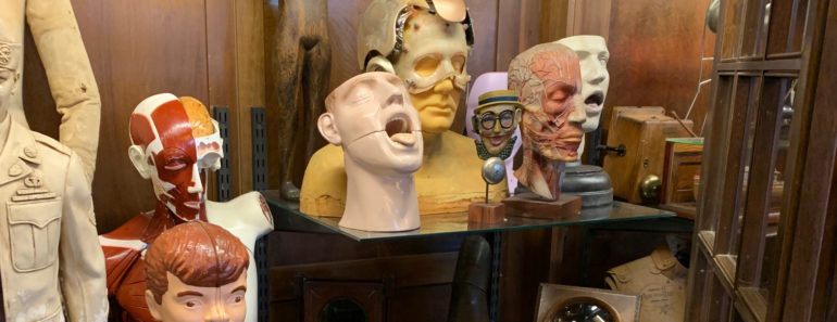 Medical models, plus the headpiece from Robin Williams' movie, Bicentennial Man, at Early Electrics.